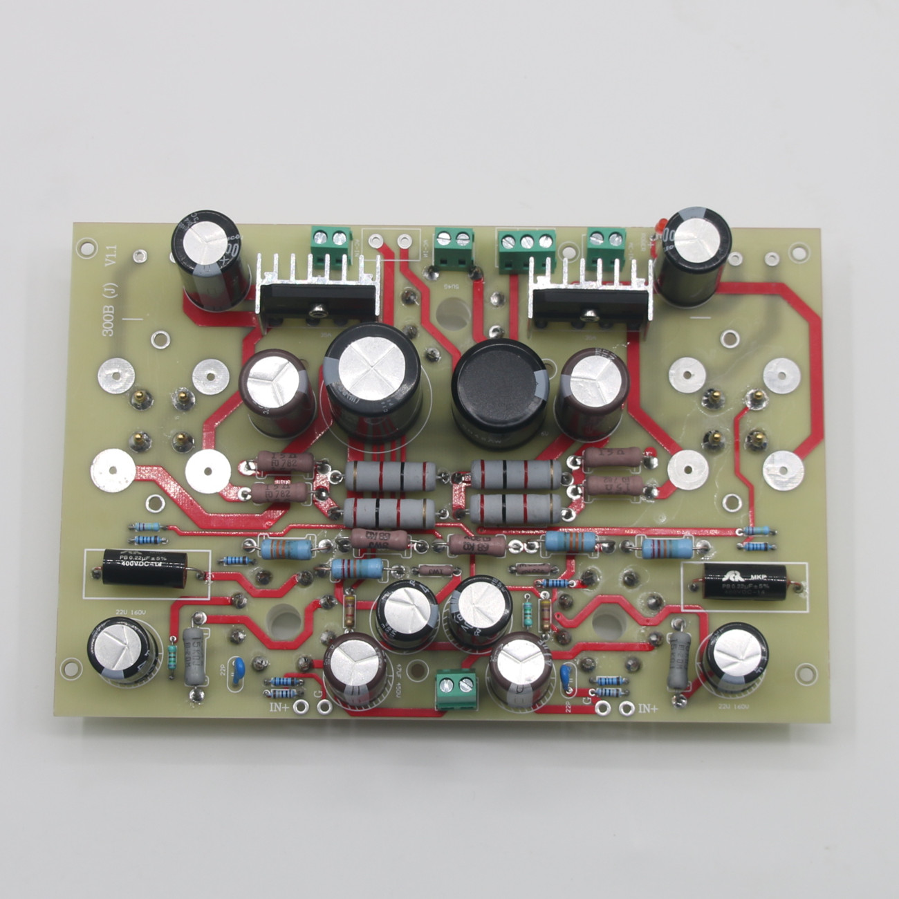 Placa Amplificadora de Potenci - Home Cinema Hifi reseña y precio