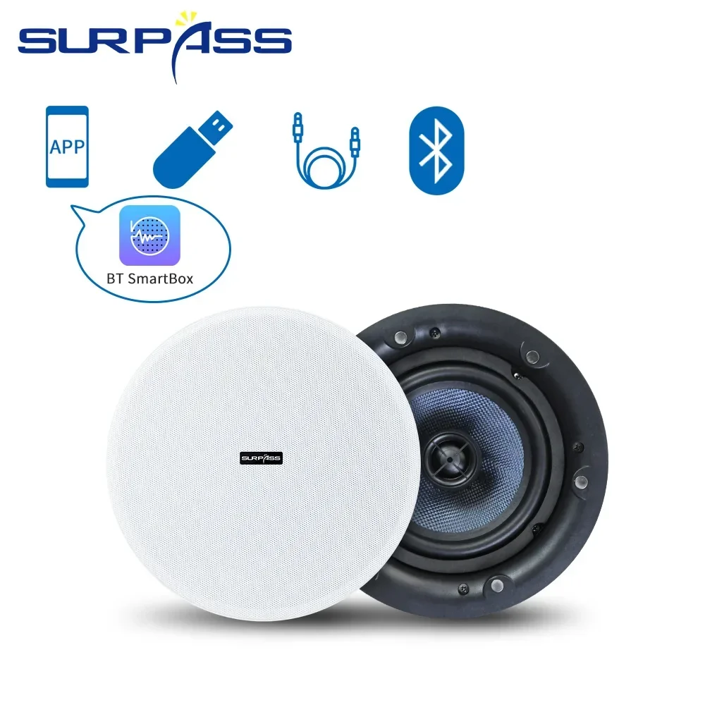 Altavoz Bluetooth de techo de  - Home Cinema Bluetooth 5.1 reseña y precio
