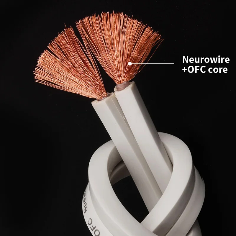 YYTCG DIY Cable de altavoz Cab - Klipsch Home Cinema reseña y precio